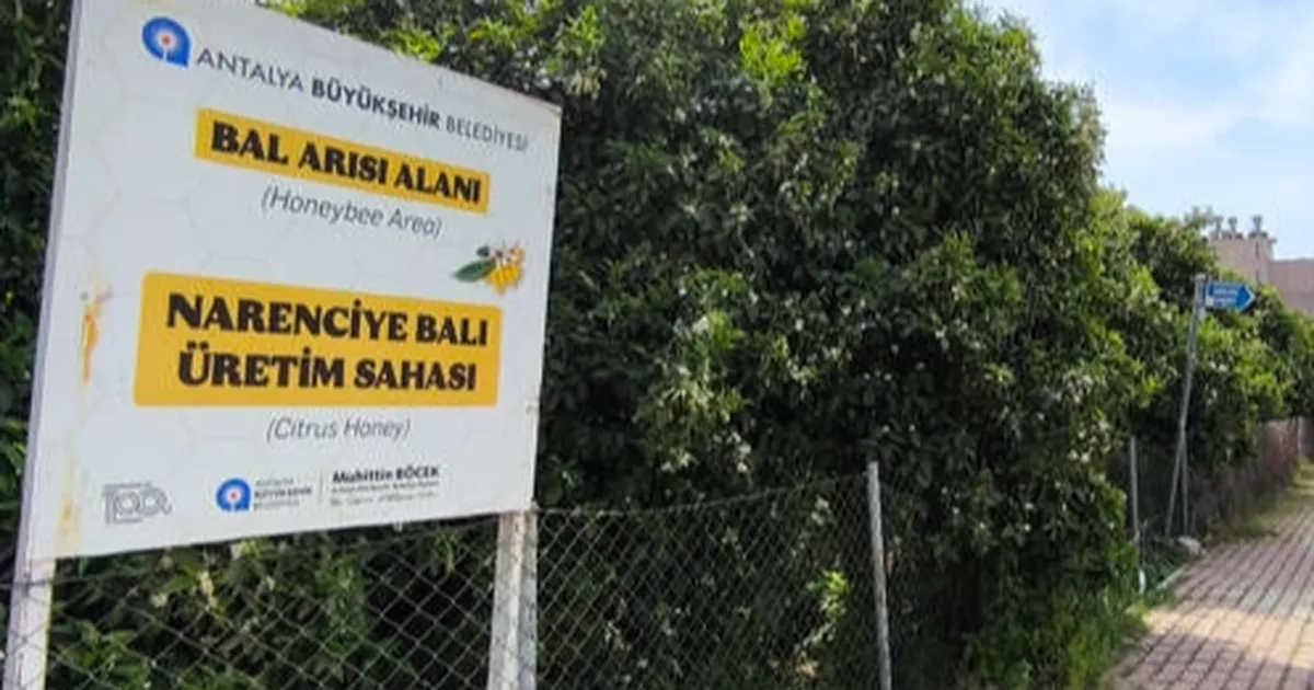 Antalya’da ‘Narenciye Balı’ koruma altında