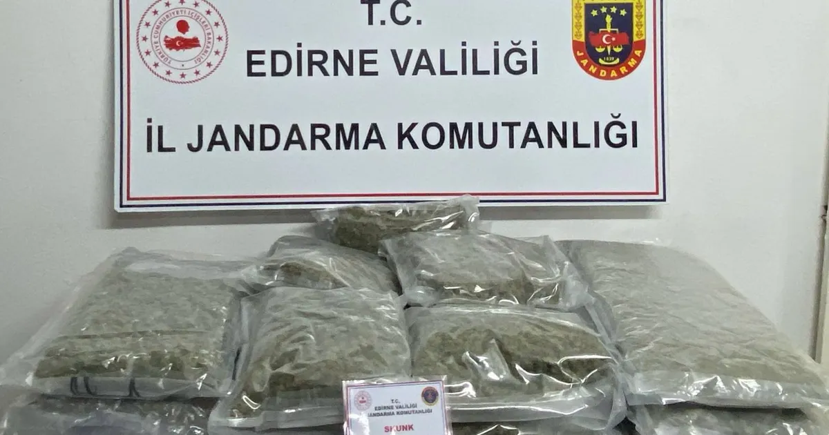 Edirne Jandarması’ndan skunk operasyonu