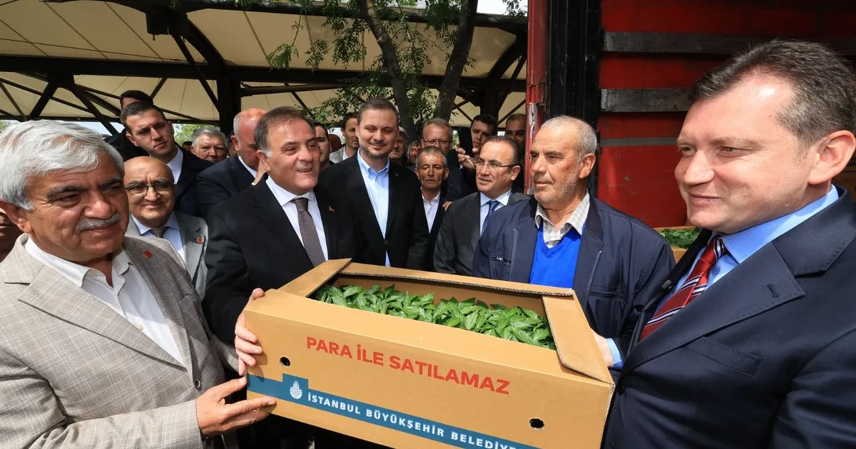 İstanbullu çiftçilere karşılıksız destekler sürüyor