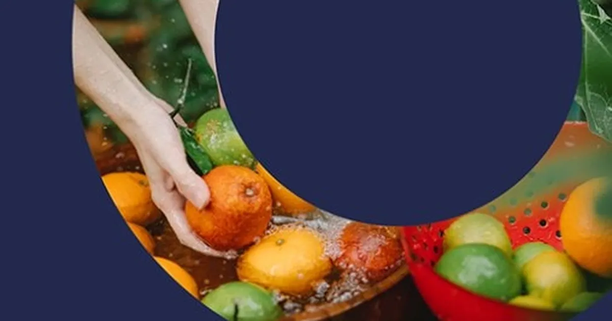 Türkiye’den ‘PlantHealth4Life’ kampanyasına destek
